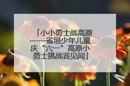 小小勇士战高原——省垣少年儿童庆“六一”高原小勇士挑战赛见闻