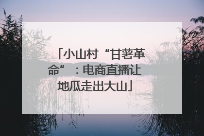小山村“甘薯革命”：电商直播让地瓜走出大山