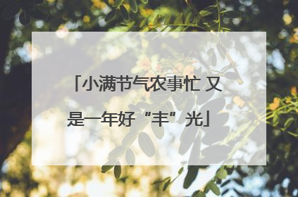 小满节气农事忙 又是一年好“丰”光