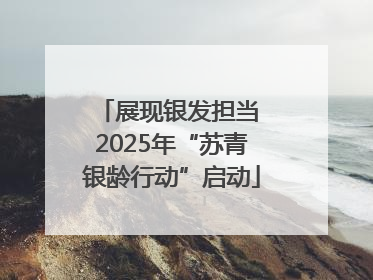 展现银发担当 2025年“苏青银龄行动”启动