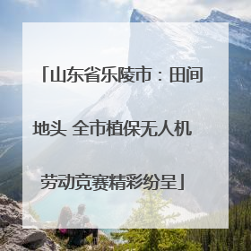 山东省乐陵市：田间地头 全市植保无人机劳动竞赛精彩纷呈