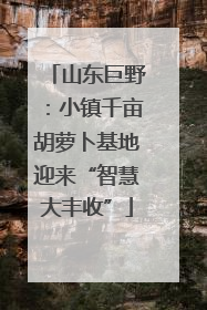 山东巨野：小镇千亩胡萝卜基地迎来“智慧大丰收”