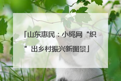 山东惠民：小绳网“织”出乡村振兴新图景