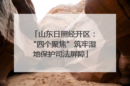 山东日照经开区：“四个聚焦”筑牢湿地保护司法屏障