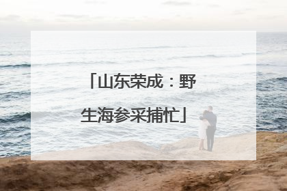 山东荣成：野生海参采捕忙