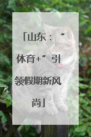 山东：“体育+”引领假期新风尚