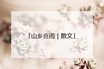 山乡喜雨｜散文