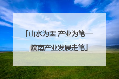 山水为墨 产业为笔——陕南产业发展走笔