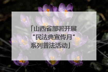 山西省部署开展“民法典宣传月”系列普法活动