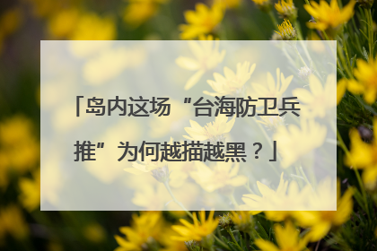 岛内这场“台海防卫兵推”为何越描越黑？