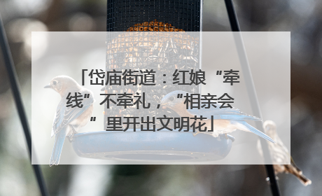 岱庙街道：红娘“牵线”不牵礼，“相亲会”里开出文明花
