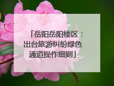 岳阳岳阳楼区：出台旅游纠纷绿色通道操作细则
