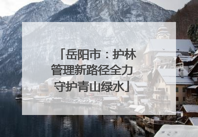 岳阳市：护林管理新路径全力守护青山绿水