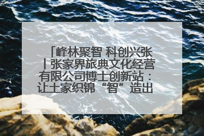 峰林聚智 科创兴张丨张家界旅典文化经营有限公司博士创新站：让土家织锦“智”造出非遗新传奇