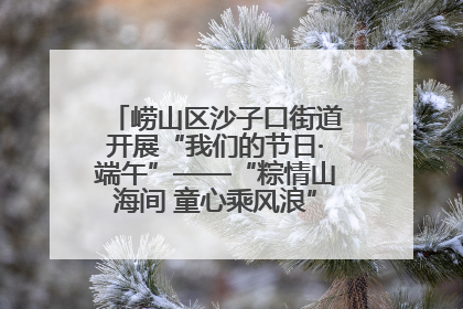 崂山区沙子口街道开展“我们的节日·端午”——“粽情山海间 童心乘风浪”文明实践活动