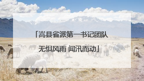 嵩县省派第一书记团队 无惧风雨 闻汛而动