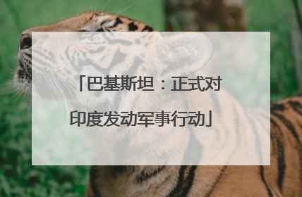 巴基斯坦：正式对印度发动军事行动