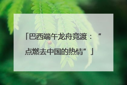 巴西端午龙舟竞渡：“点燃去中国的热情”