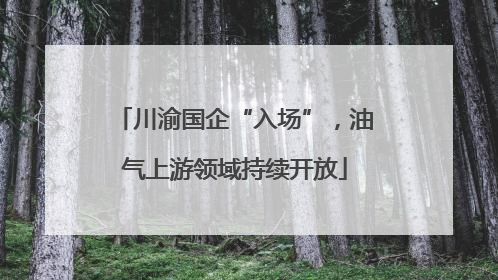 川渝国企“入场”，油气上游领域持续开放