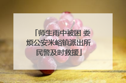 师生雨中被困 娄烦公安米峪镇派出所民警及时救援