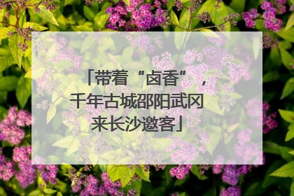 带着“卤香”，千年古城邵阳武冈来长沙邀客