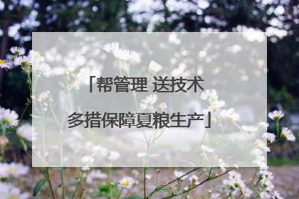 帮管理 送技术 多措保障夏粮生产