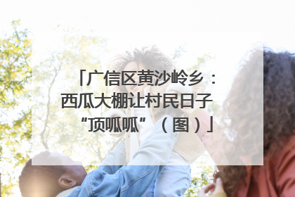 广信区黄沙岭乡：西瓜大棚让村民日子“顶呱呱”（图）