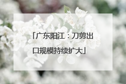广东阳江：刀剪出口规模持续扩大
