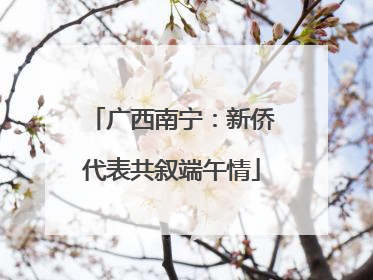 广西南宁：新侨代表共叙端午情