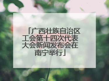 广西壮族自治区工会第十四次代表大会新闻发布会在南宁举行