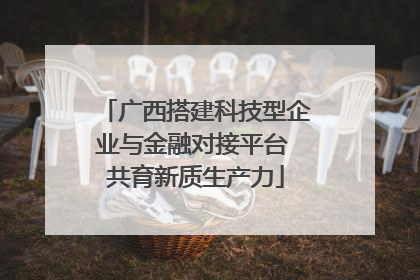 广西搭建科技型企业与金融对接平台 共育新质生产力