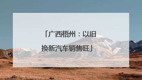 广西梧州：以旧换新汽车销售旺