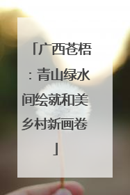 广西苍梧：青山绿水间绘就和美乡村新画卷