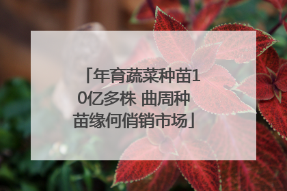 年育蔬菜种苗10亿多株 曲周种苗缘何俏销市场