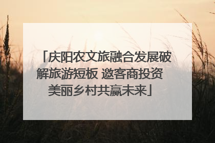 庆阳农文旅融合发展破解旅游短板 邀客商投资美丽乡村共赢未来
