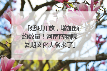 延时开放，增加预约数量！河南博物院暑期文化大餐来了