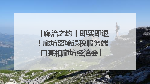 廊洽之约丨即买即退！廊坊离境退税服务端口亮相廊坊经洽会