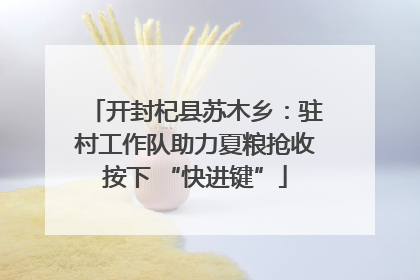 开封杞县苏木乡：驻村工作队助力夏粮抢收按下 “快进键”