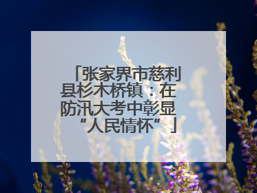 张家界市慈利县杉木桥镇：在防汛大考中彰显“人民情怀”