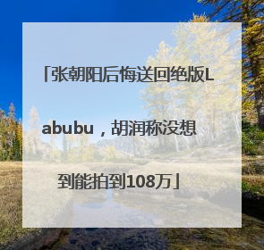 张朝阳后悔送回绝版Labubu，胡润称没想到能拍到108万