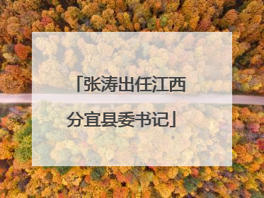 张涛出任江西分宜县委书记