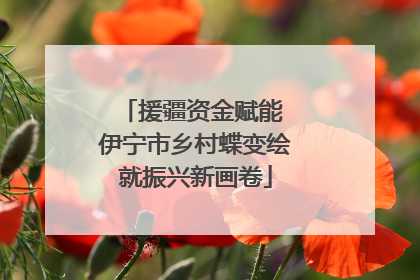 援疆资金赋能 伊宁市乡村蝶变绘就振兴新画卷