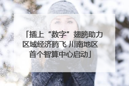 插上“数字”翅膀助力区域经济腾飞 川南地区首个智算中心启动