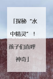 探秘“水中精灵”！孩子们直呼神奇