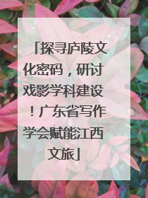 探寻庐陵文化密码，研讨戏影学科建设！广东省写作学会赋能江西文旅