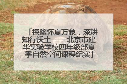 探幽怀夏万象，深耕知行沃土——北京市建华实验学校四年级部夏季自然空间课程纪实