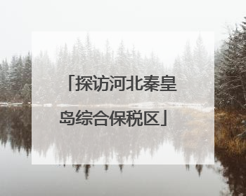 探访河北秦皇岛综合保税区