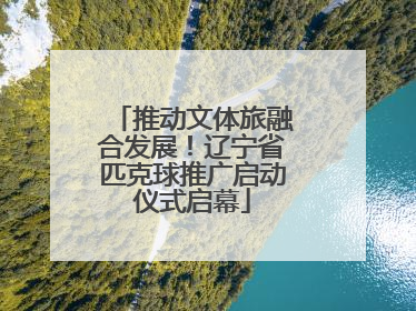 推动文体旅融合发展！辽宁省匹克球推广启动仪式启幕