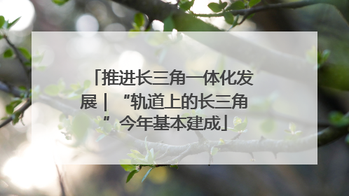 推进长三角一体化发展｜“轨道上的长三角”今年基本建成