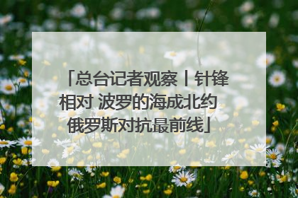 总台记者观察丨针锋相对 波罗的海成北约俄罗斯对抗最前线